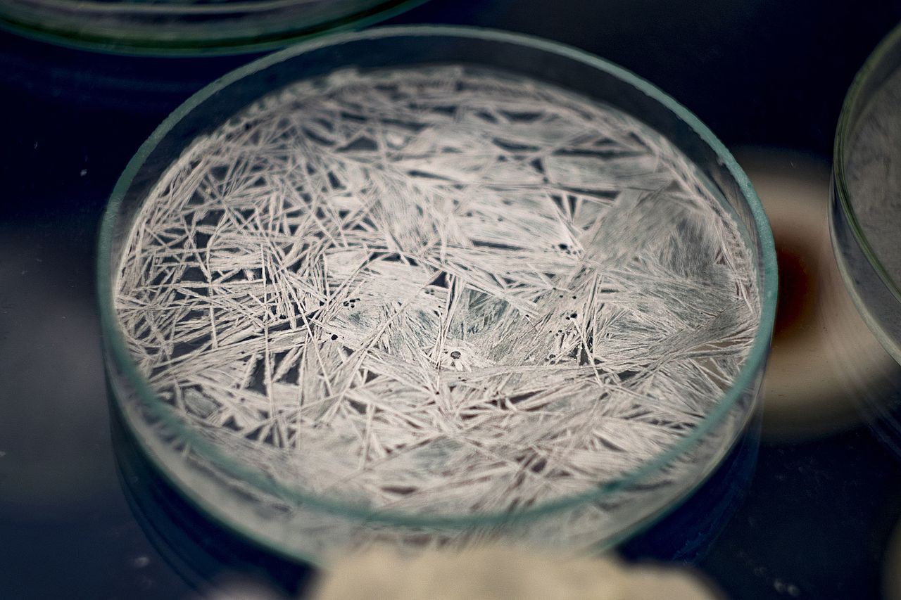 How to Make Potassium Nitrate Crystals