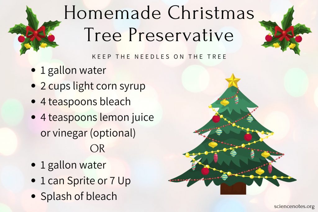 Easy Homemade Christmas Tree Water Recipe 2024 AtOnce