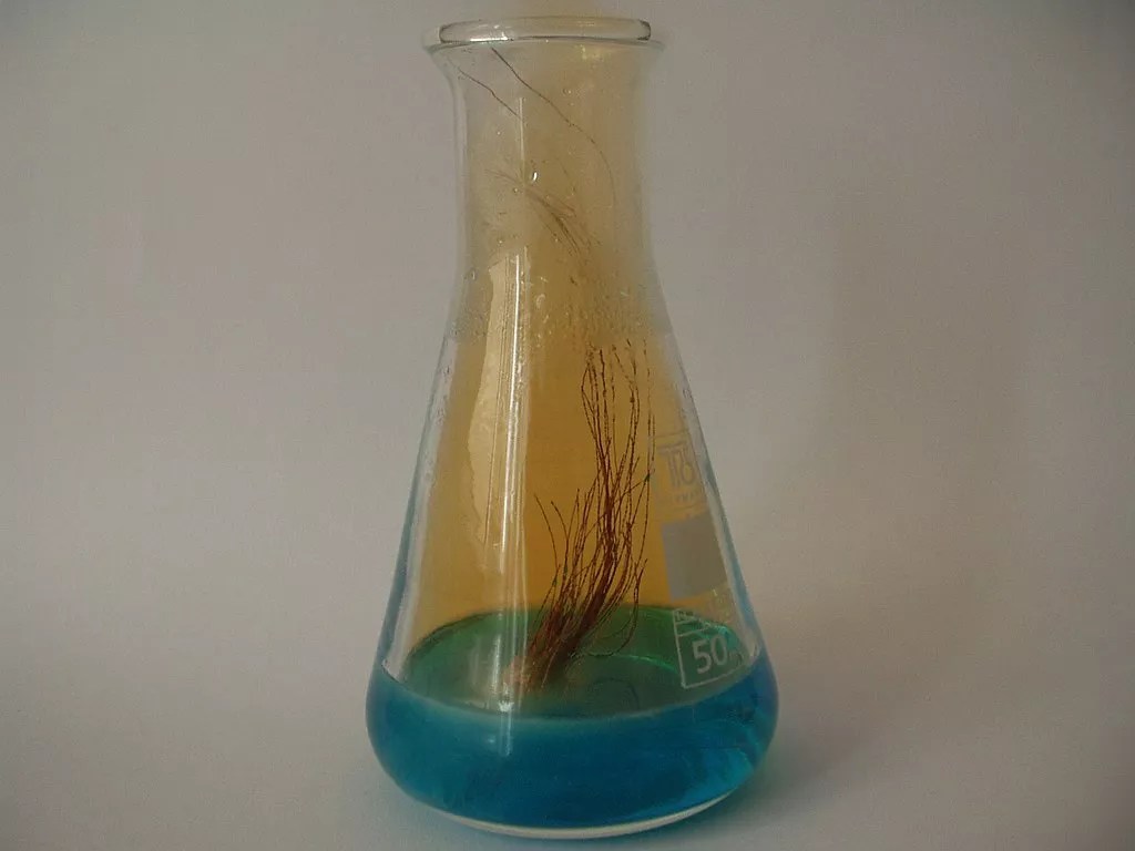 Copper and Nitric Acid Chemistry Demonstration