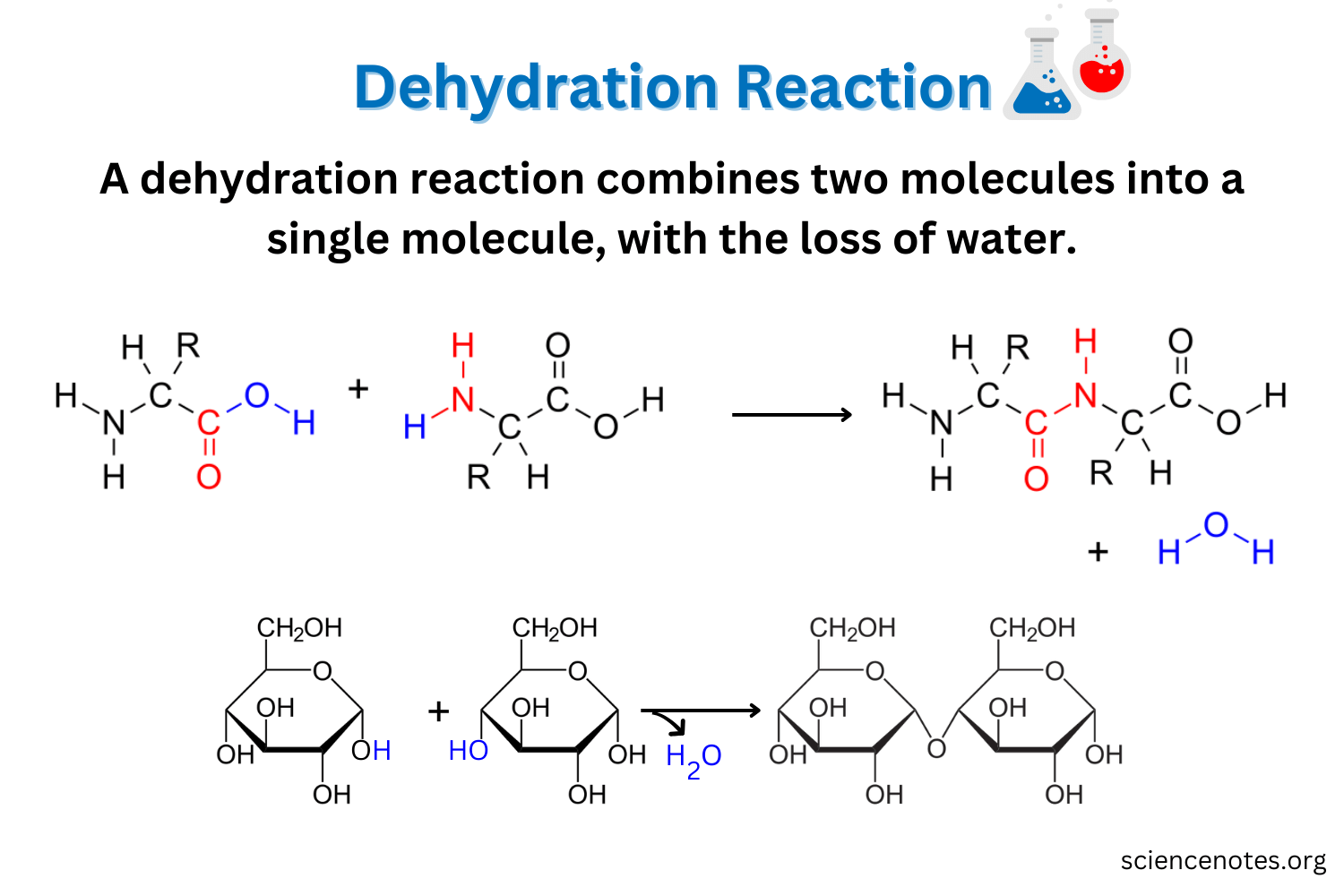 Dehydration Reaction - Definition and Examples