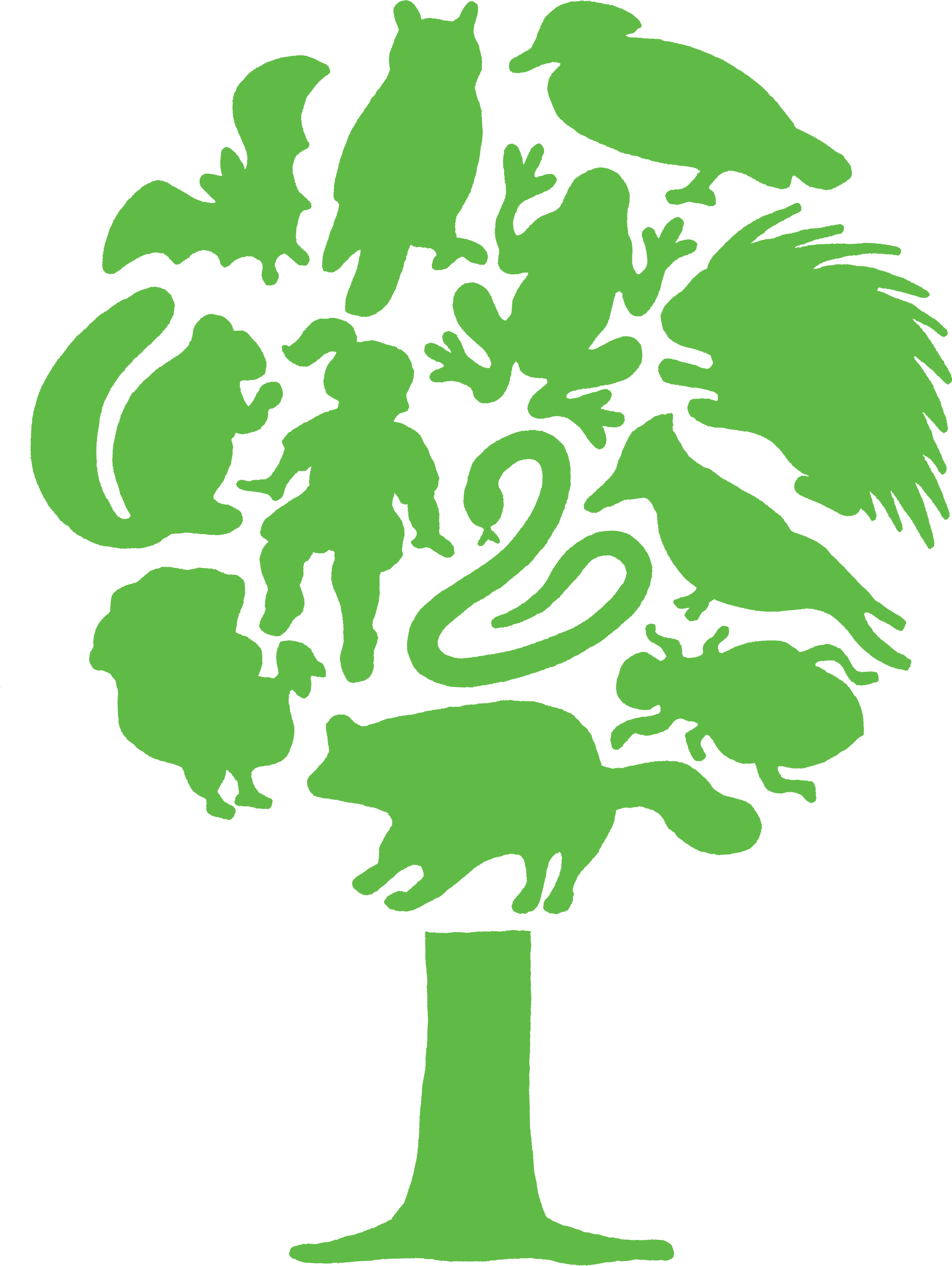 Tree Houses Look Who’s Living in the Trees! Sciencenter