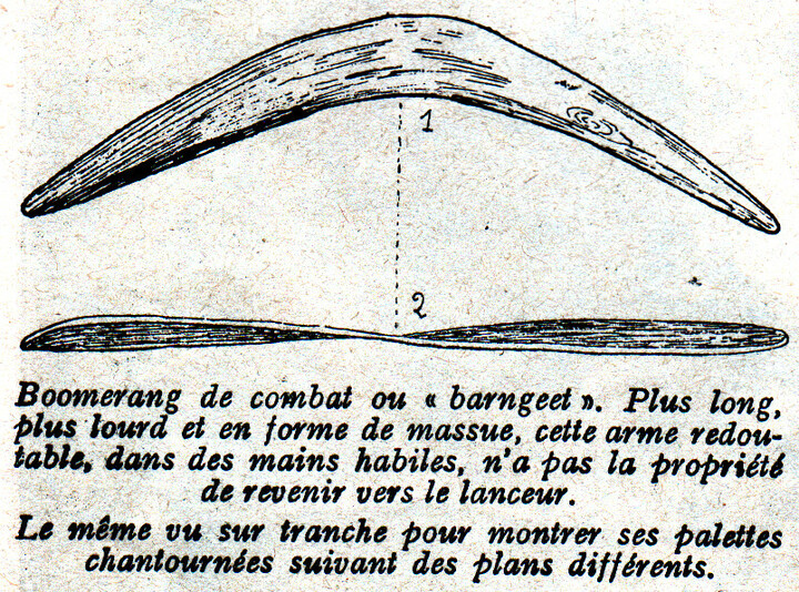 Le curieux« boomerang » qu'utilisent les aborigènes australiens et que
