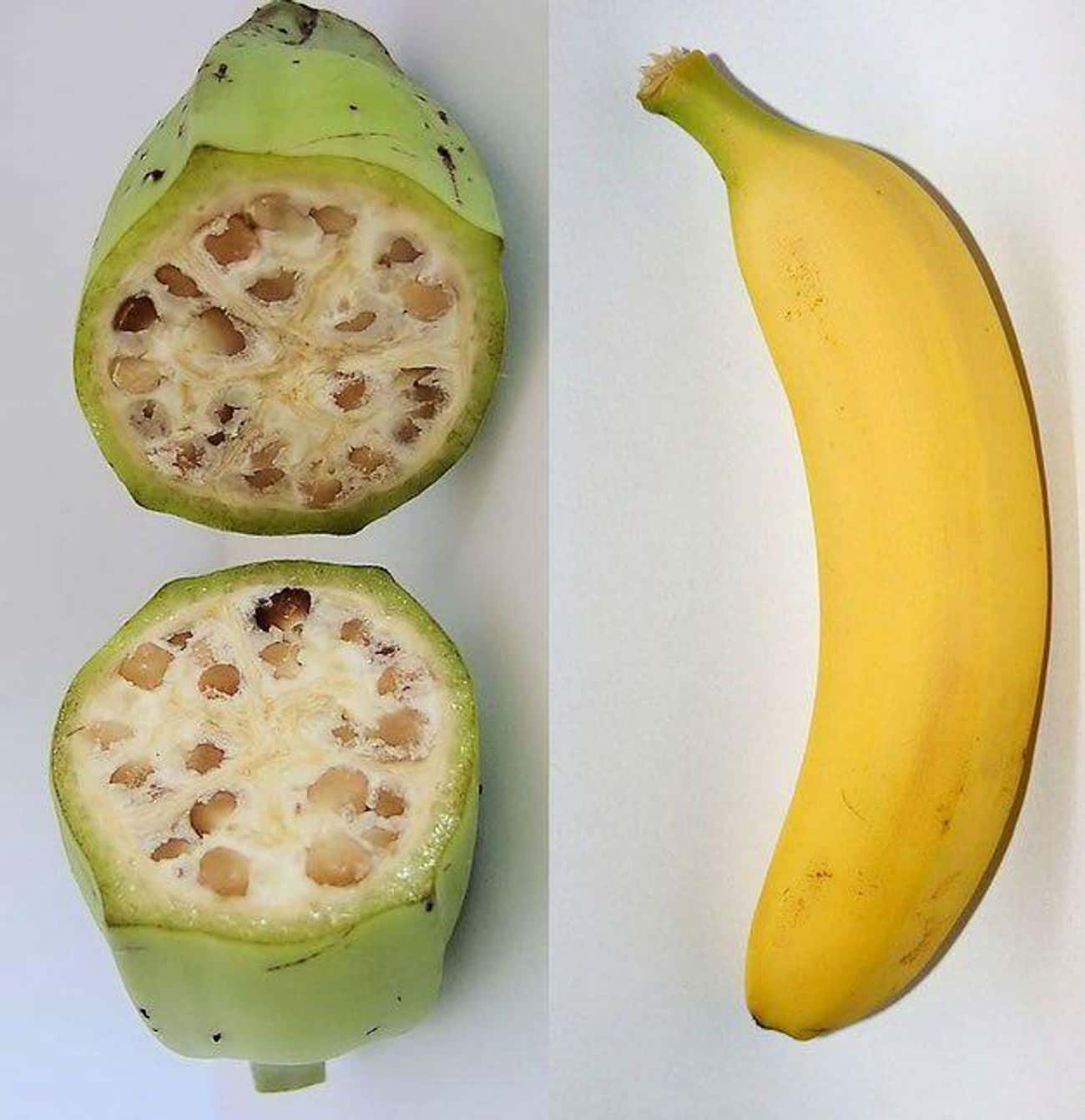 Humans Interfered With Nature And Now This Is What Fruits & Vegetables
