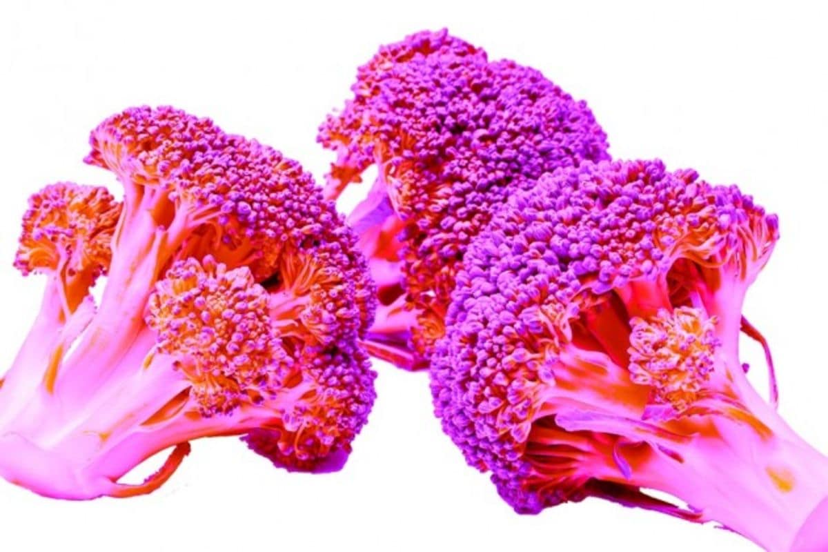 Hilarious Science Experiments Gone Wrong Page 24 Science Sensei