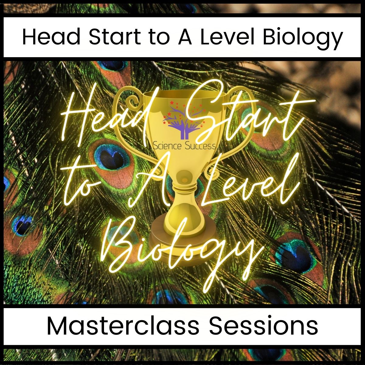 Head Start to A Level Biology 2022 Science Success