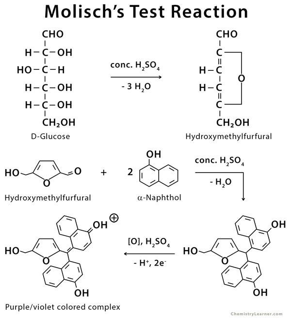 QUALITATIVE TESTS FOR CARBOHYDRATES Sciencevivid (2023)