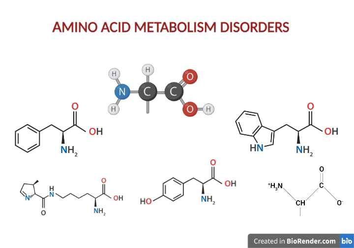 Amino Acid Metabolism Disorders Definition, Types, diagnosis
