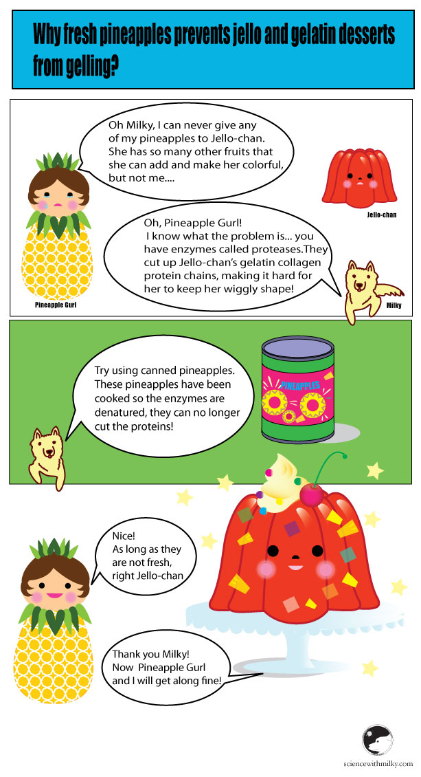 A little about enzymes and jello Science with Milky