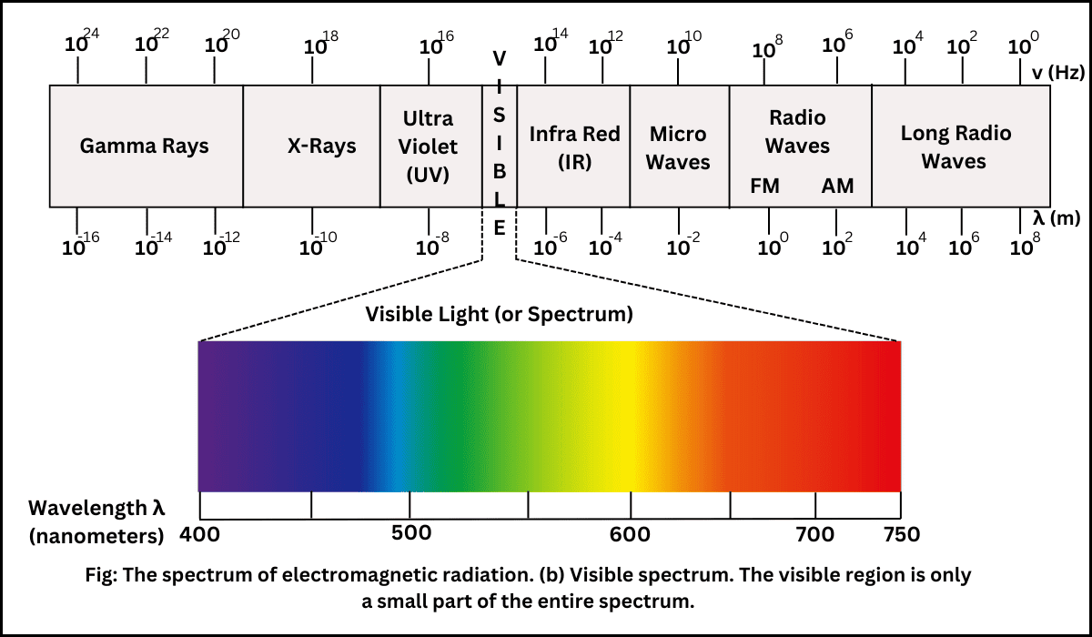 Spectrum Definition, Examples Scienly
