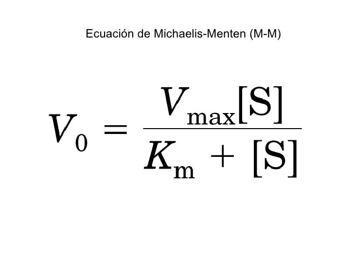 ECUACION MICHAELIS MENTEN PDF
