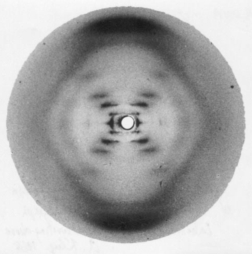 The underrated prodigy Rosalind Franklin Scientia Magazine