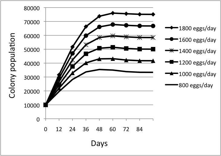 Understanding Colony Buildup and Decline Part 5 Scientific Beekeeping