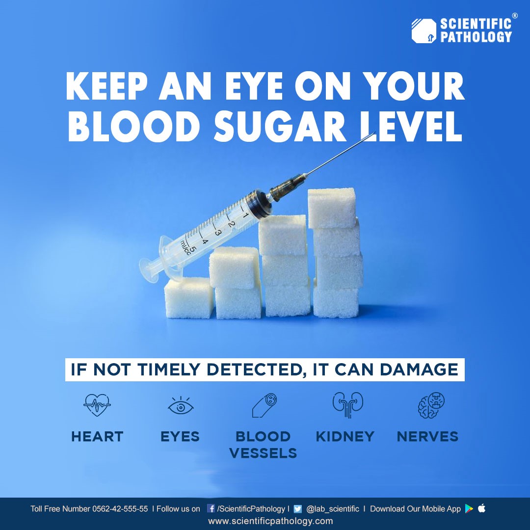 Importance of Molecular PCR Testing The New Era of Fast Results