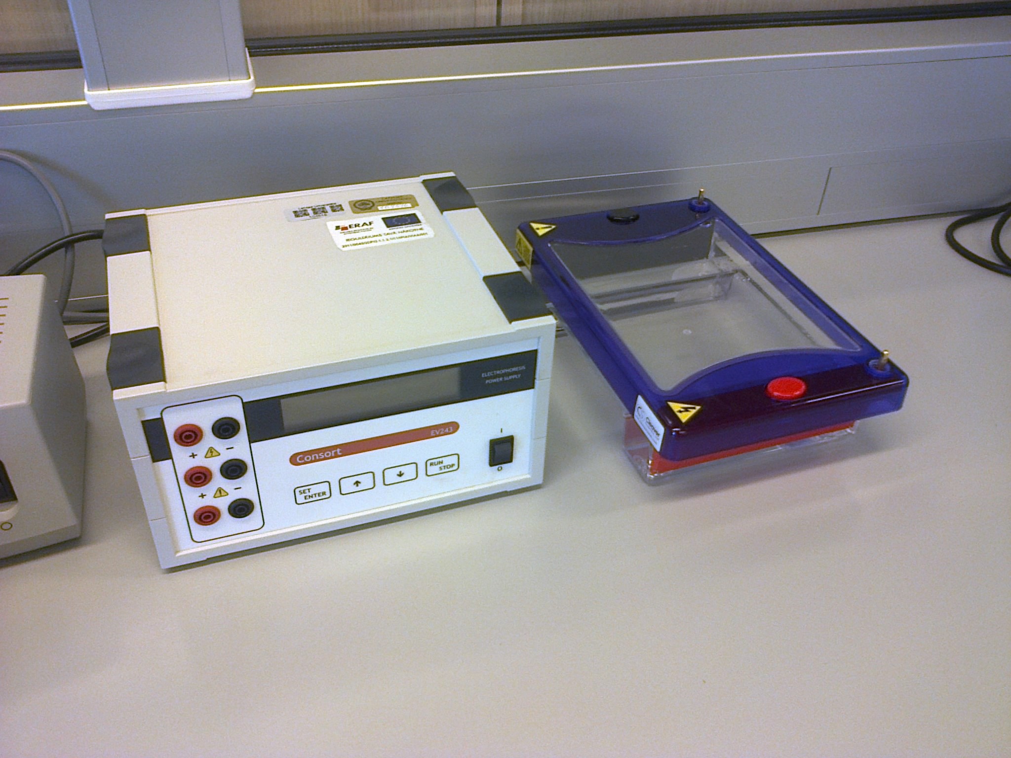 Gel Electrophoresis Units UseScience