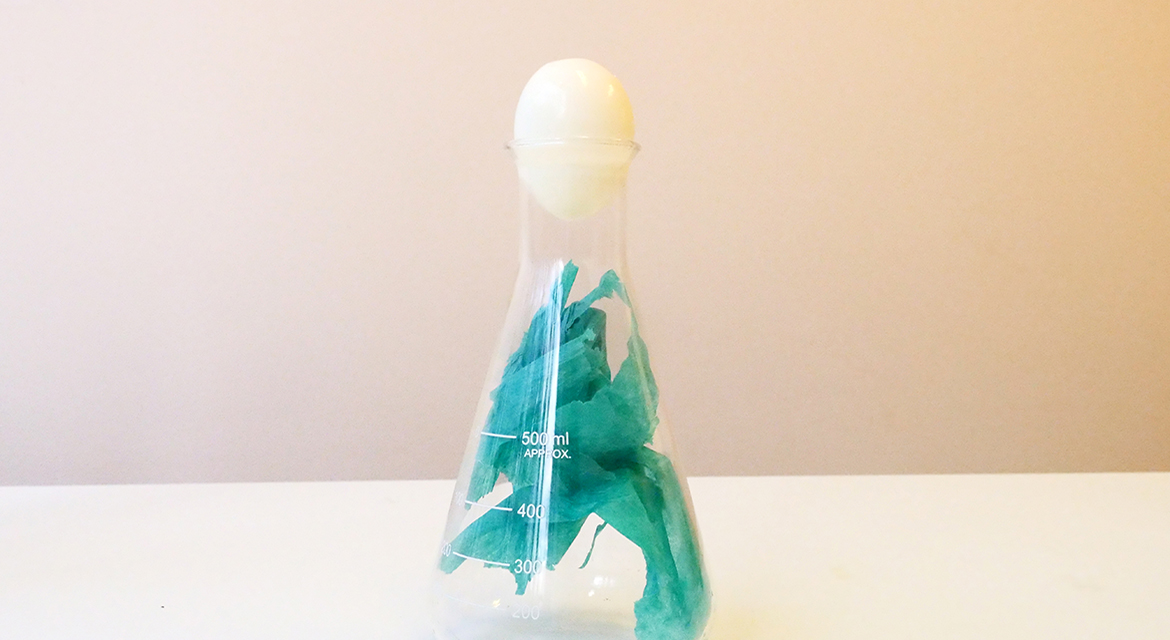 Egg in a Bottle Experiment Scientist Factory