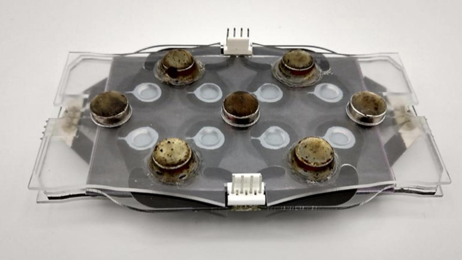 New Device Offers Faster Way to Detect Antibiotic