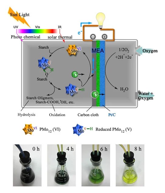 New Type of Fuel Cell Produces Electricity Directly from Biomass