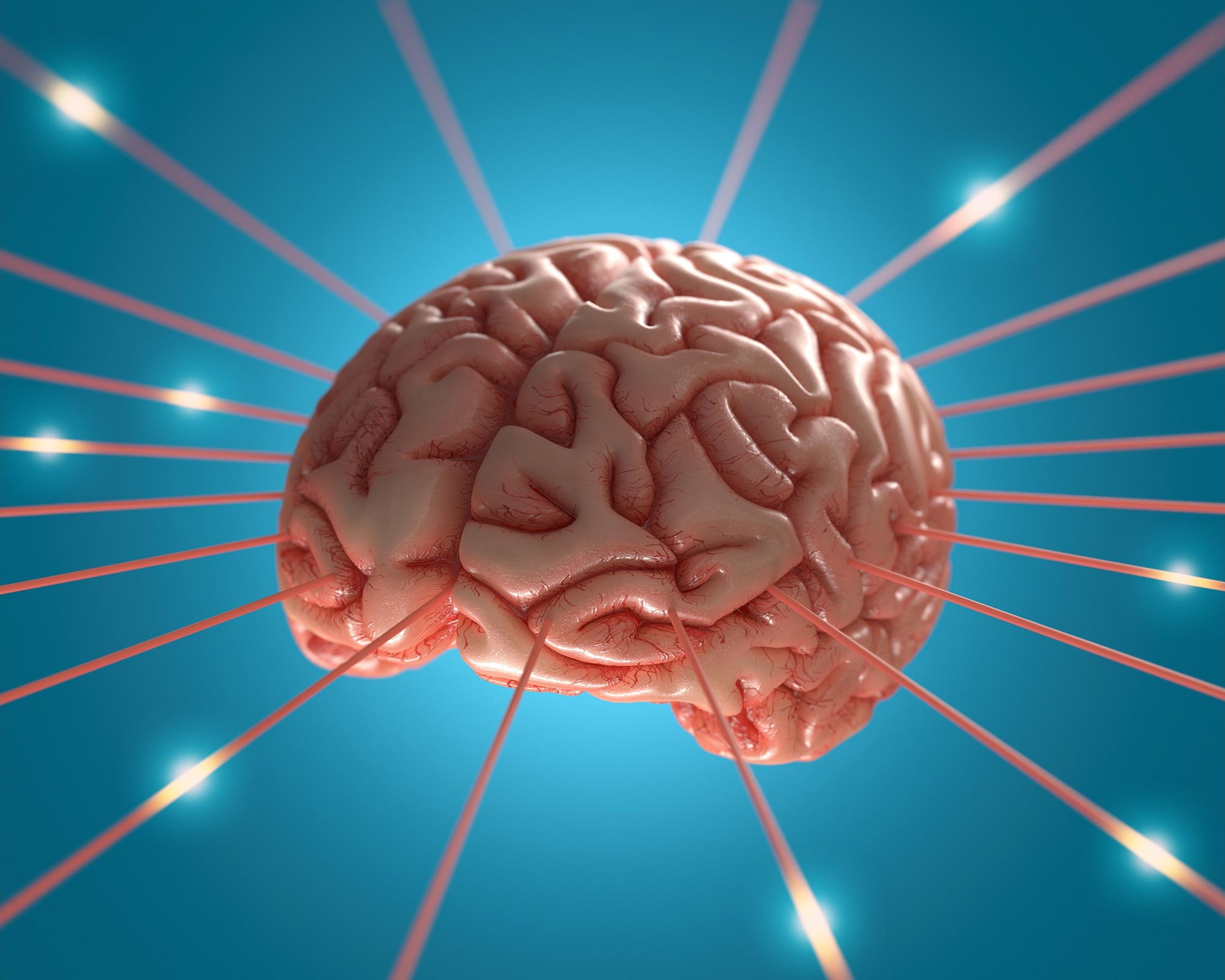 Brain Shrinkage