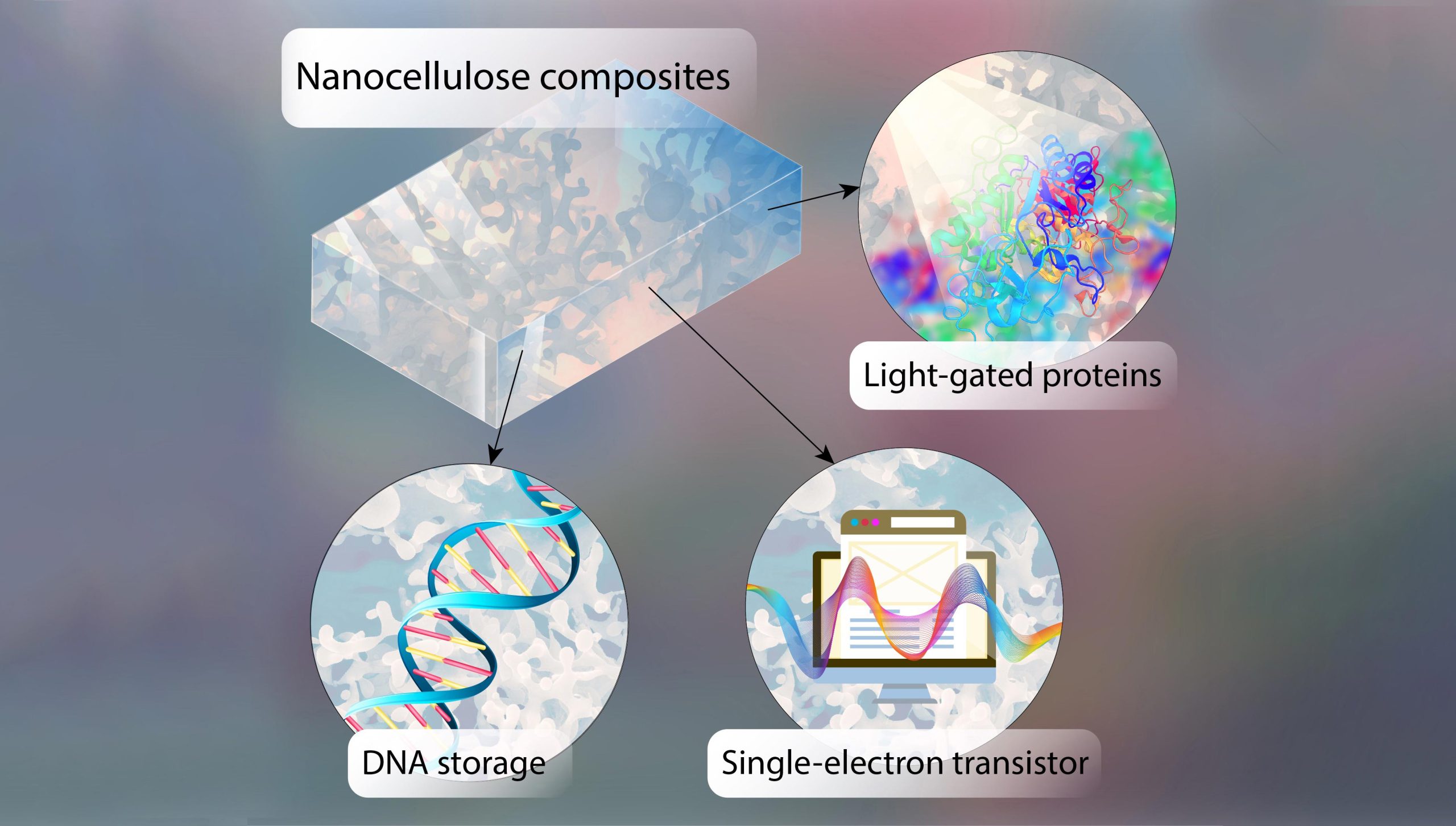 DNA Chips The Billion Gigabyte Storage Solution of Tomorrow