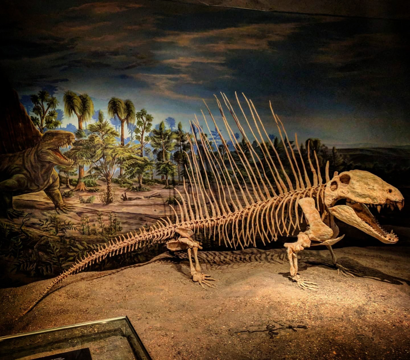 Dawn of the Apex Predator How Ancient Carnivores Evolved To Dominate