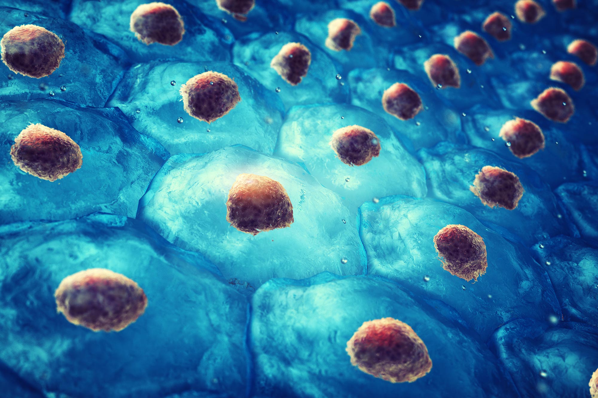 Breakthrough Diabetes Treatment Reprograms the Immune System Instead of Replacing Insulin