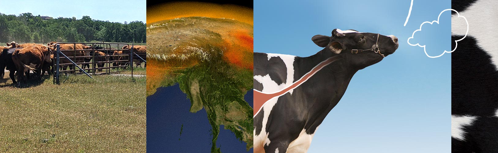 NASA at Your Table Where Food Meets Methane and the Greenhouse Effect