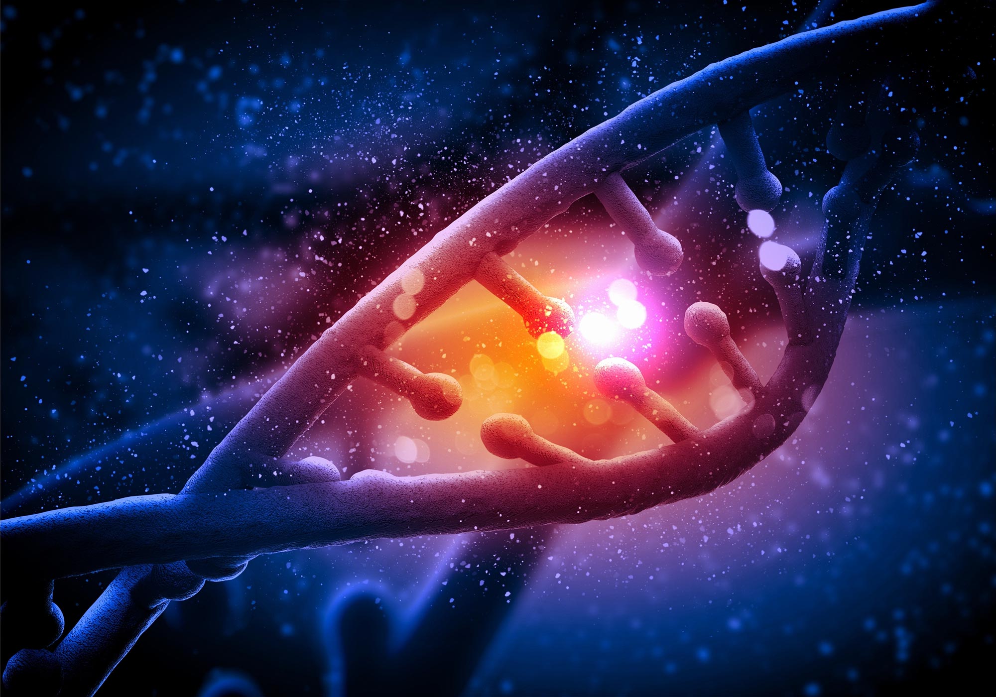 Genomic Time Machine” Reveals Secrets of Human DNA