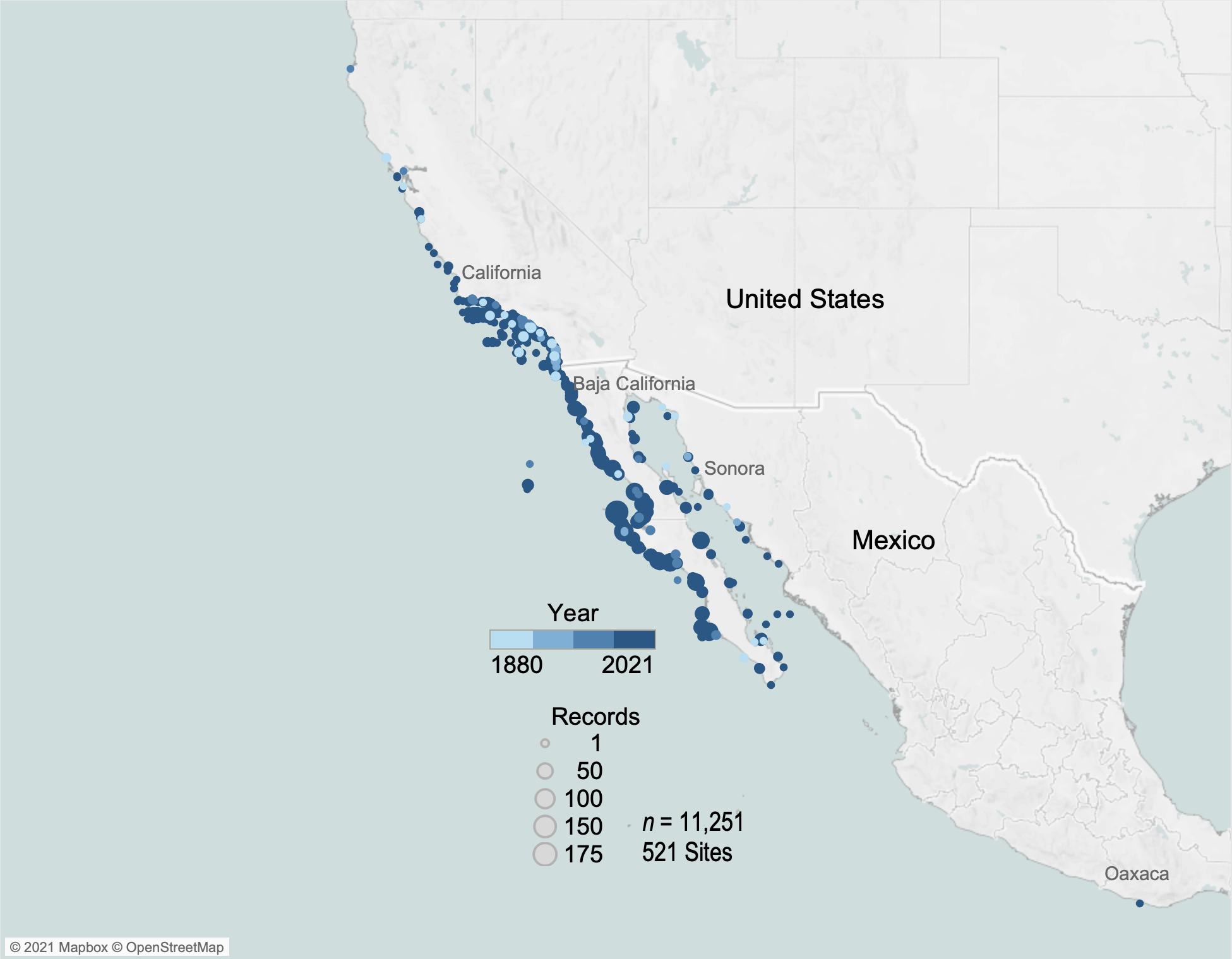 Marine Ecologist Surprised To Find “Critically Endangered” Giant Sea