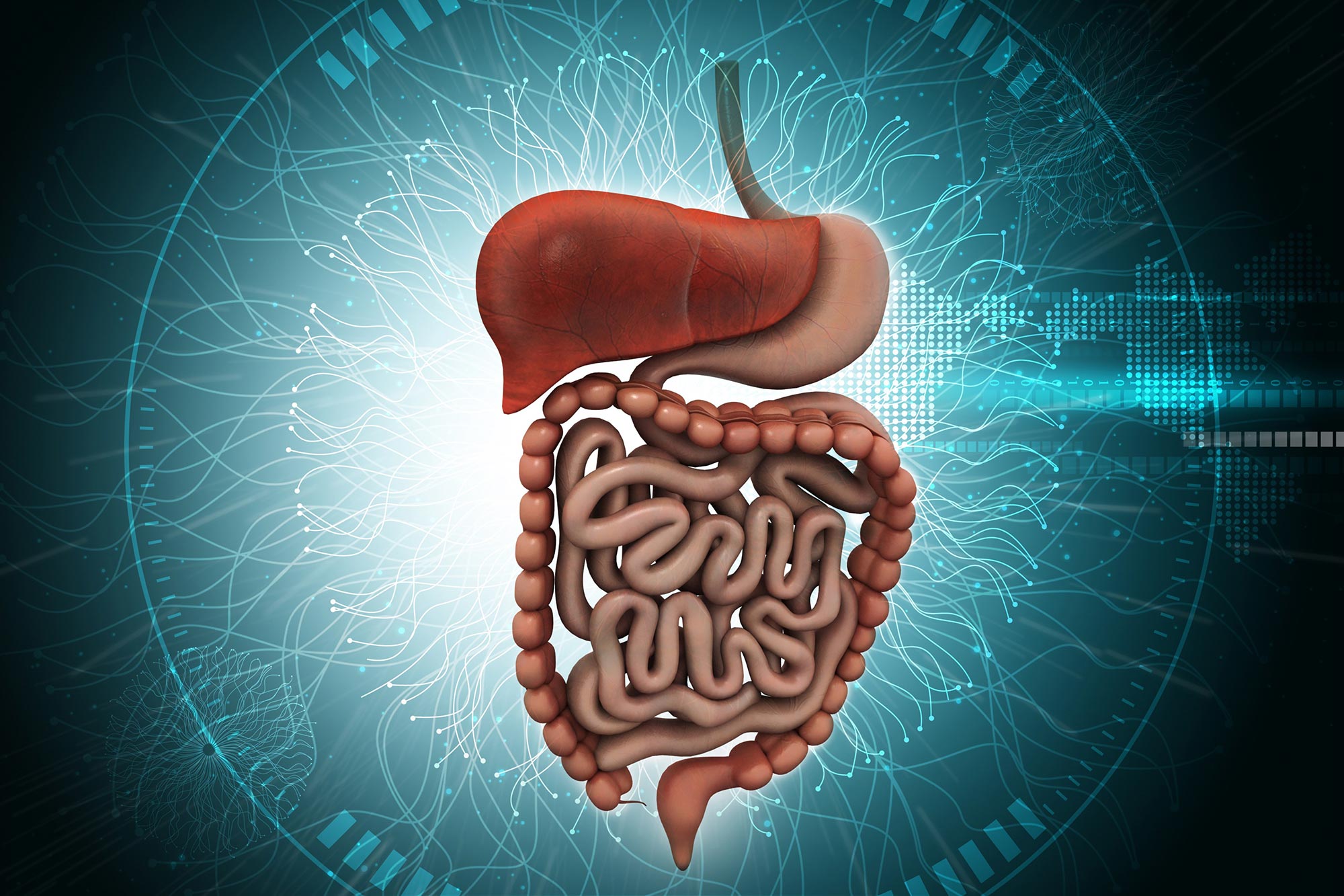 MindBlowing New Hypothesis Gravity May Cause Irritable Bowel Syndrome