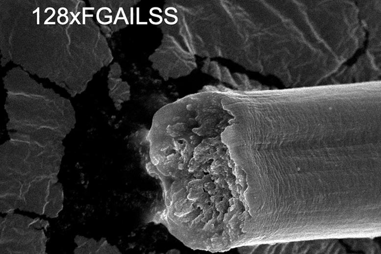 Incredible Fibers Produced by Engineered Bacteria Stronger Than Steel