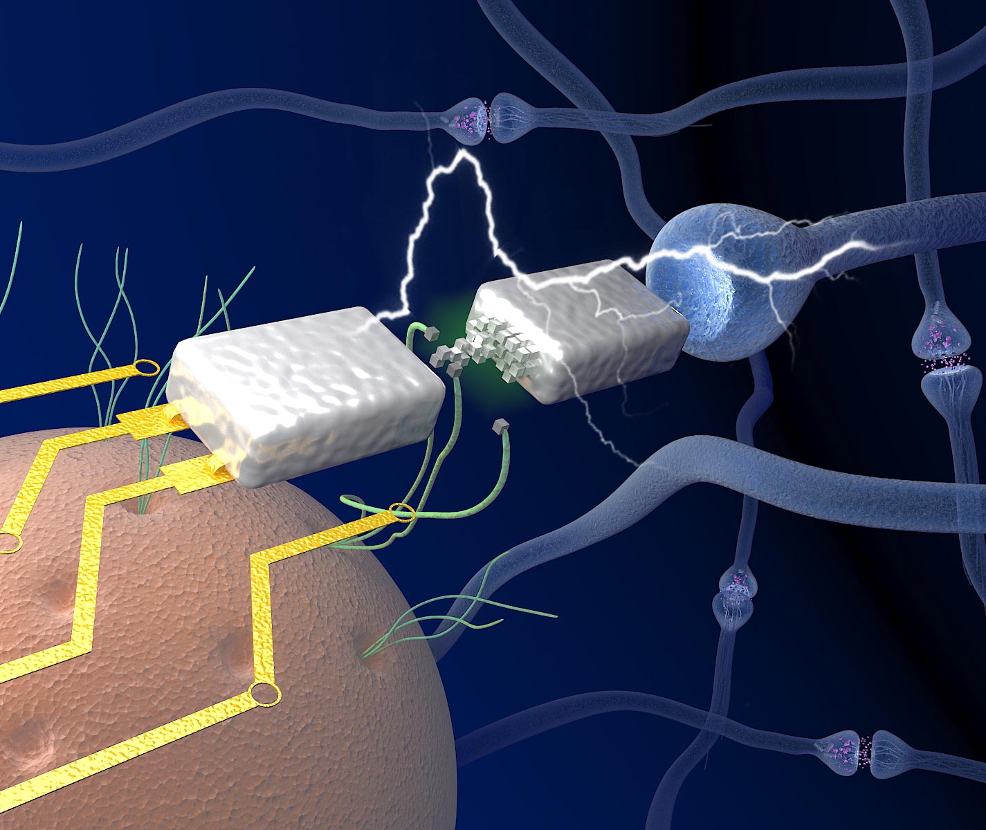 New Electronics Devised That Mimic the Human Brain in Efficient Learning