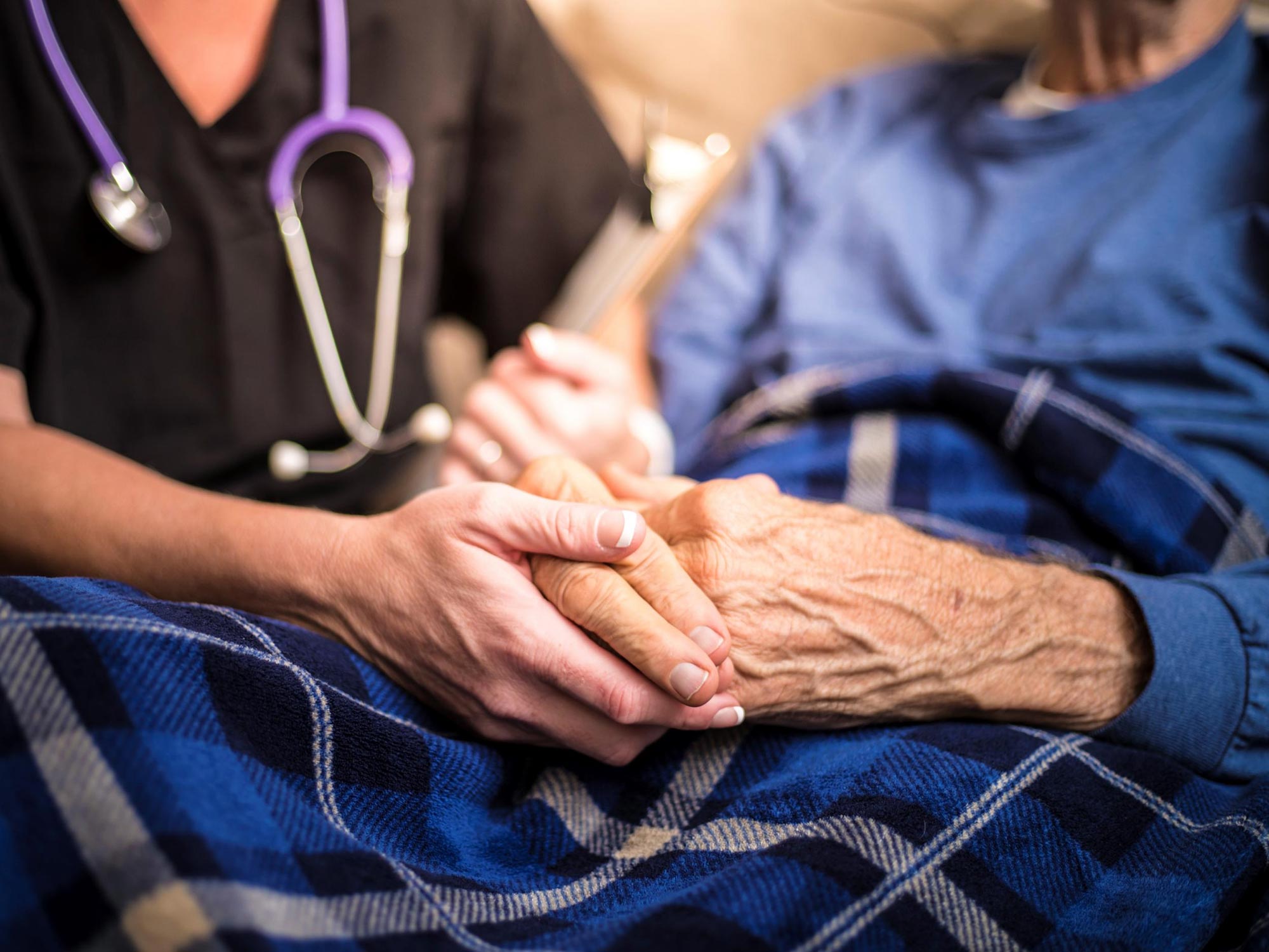 Huge Unexplained Variation in Euthanasia Rates Across the Netherlands