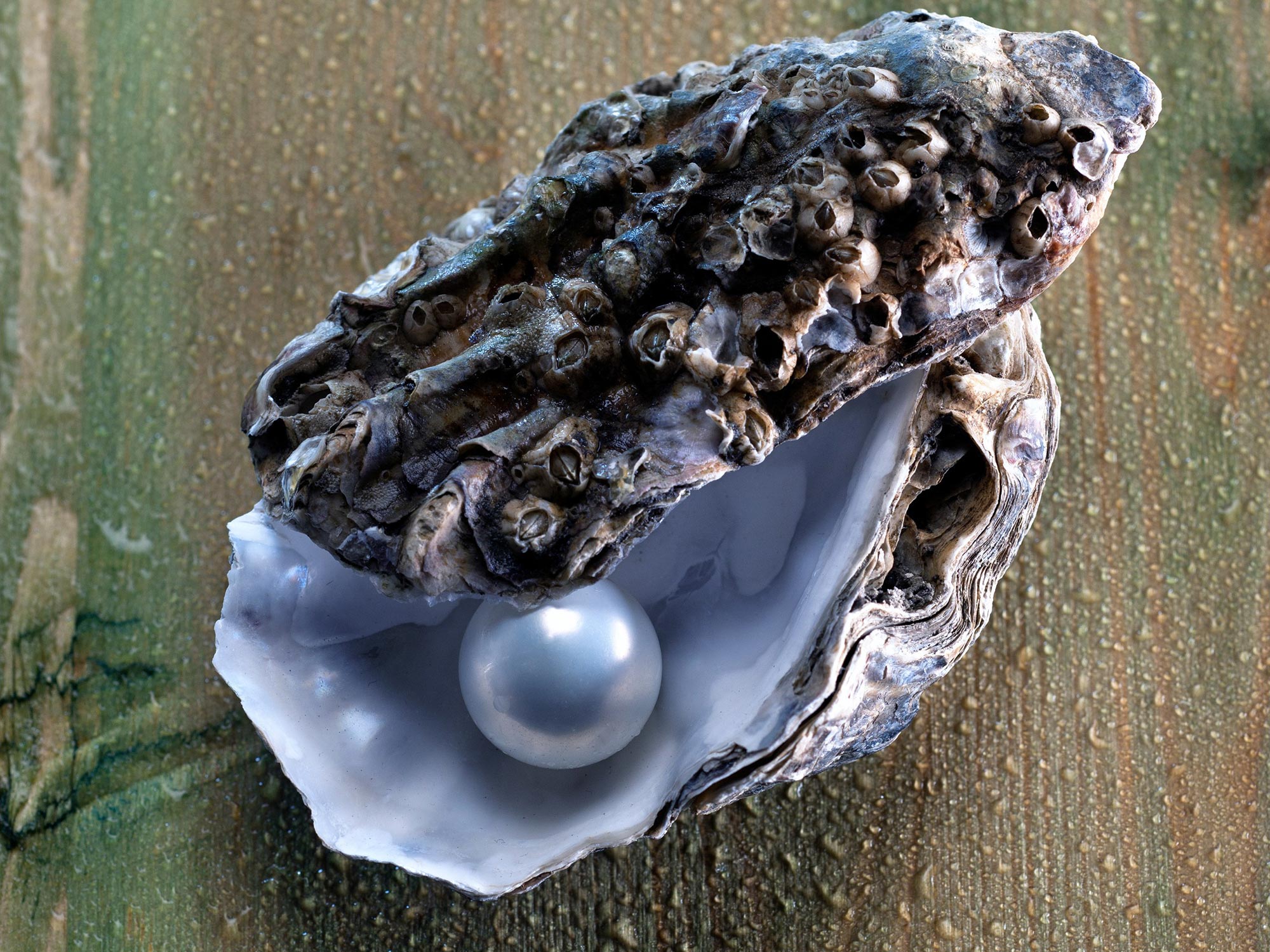 Research Reveals Molecular Fingerprint Behind Beautiful Pearls