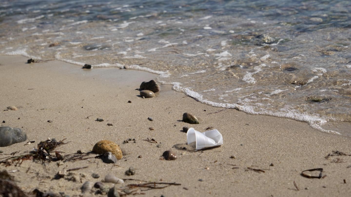 Scientists Thought It Took Thousands of Years for Plastic to