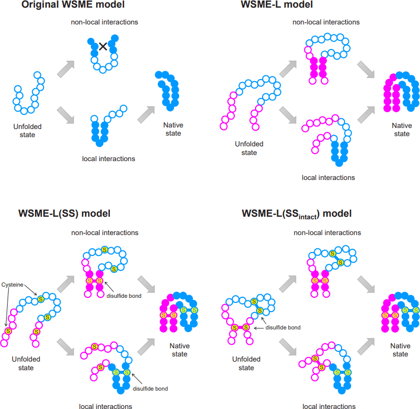 From AI Black Boxes to Physics The New Frontier of Protein Folding
