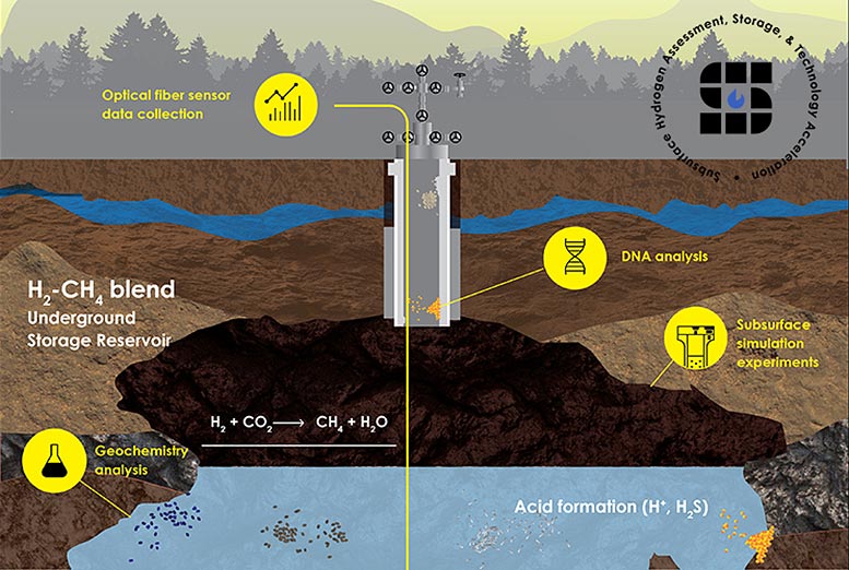 Viability of LargeScale Hydrogen Storage in Geologic Formations