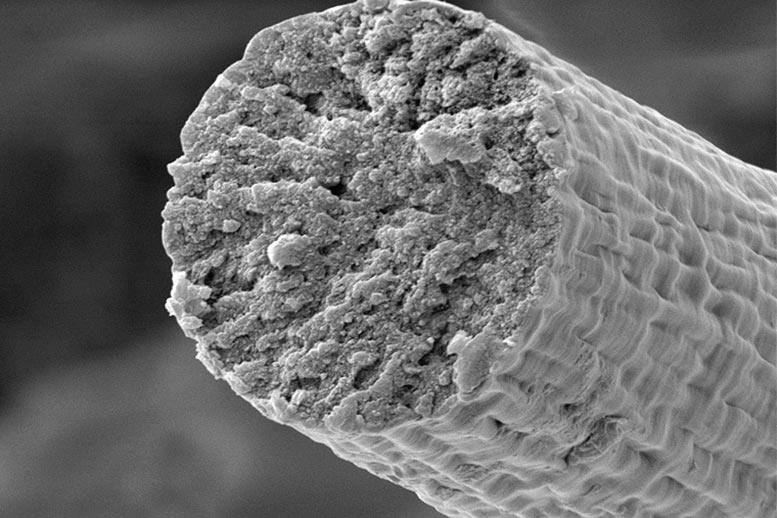 Synthetic Biology Enables Microbes To Build Muscle Fibers That Are