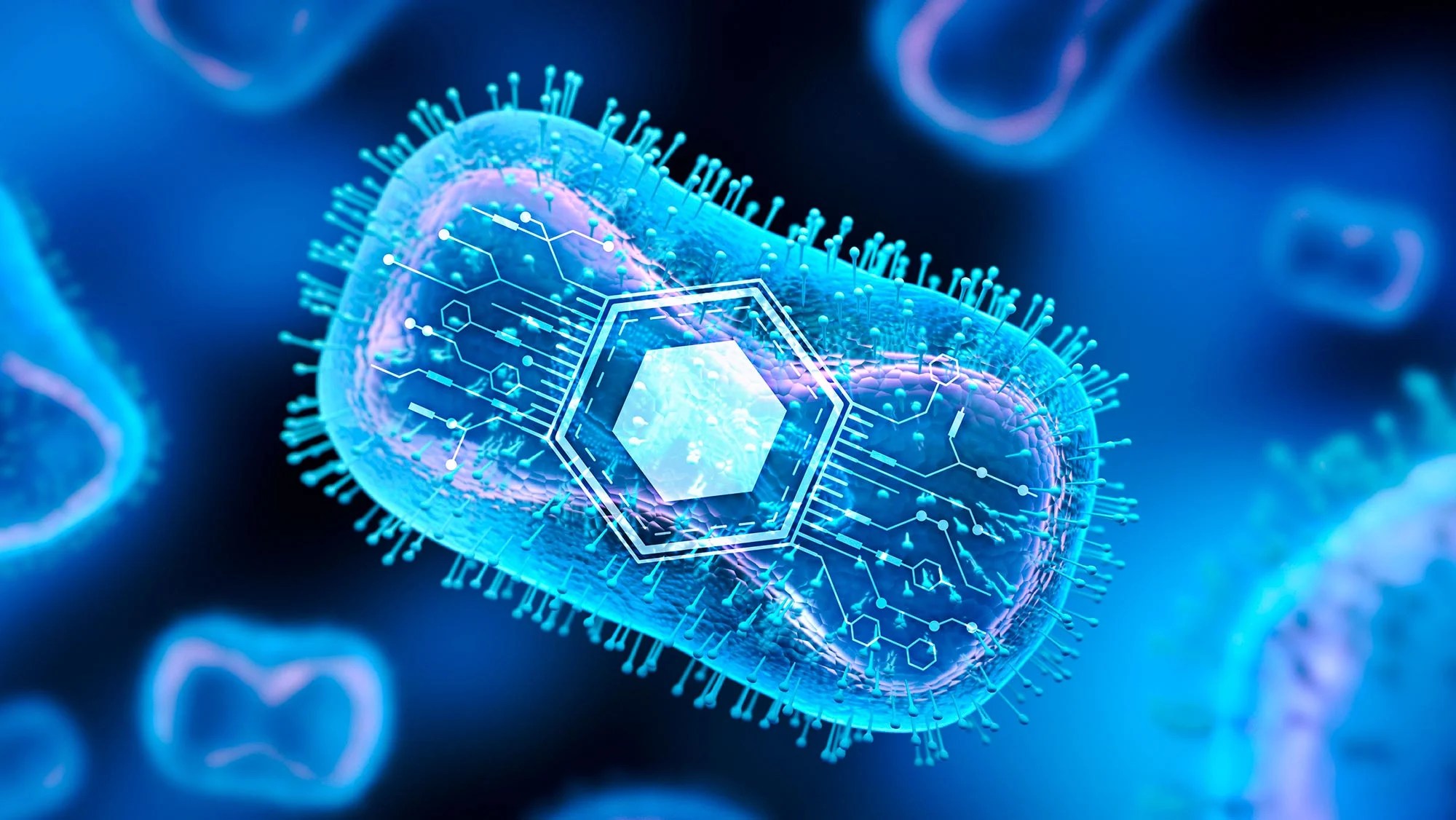 The 1 Cure How Programmable Bacteria Are Reshaping Cancer Therapy