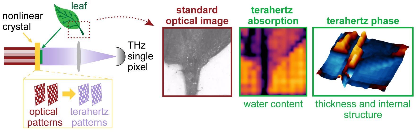New Camera Combines Lasers and Terahertz Waves to Reveal ‘Unseen