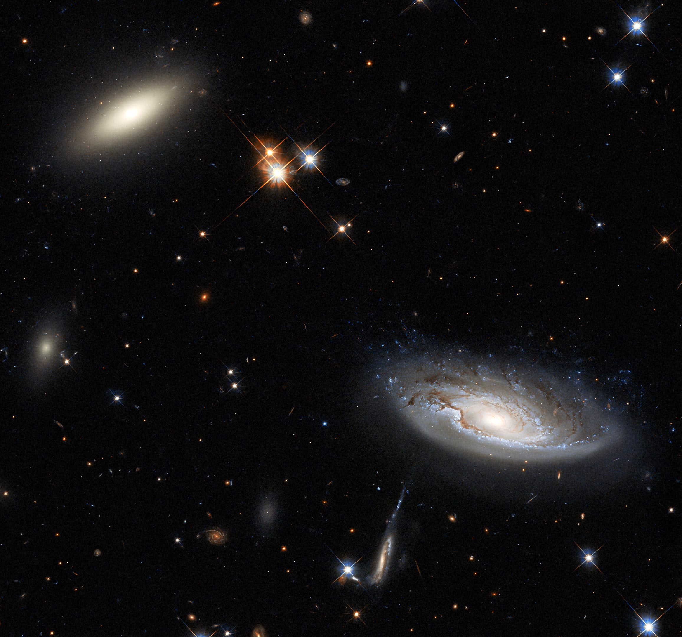 Hubble Captures Two Gargantuan Galaxies in the Perseus Galaxy Cluster