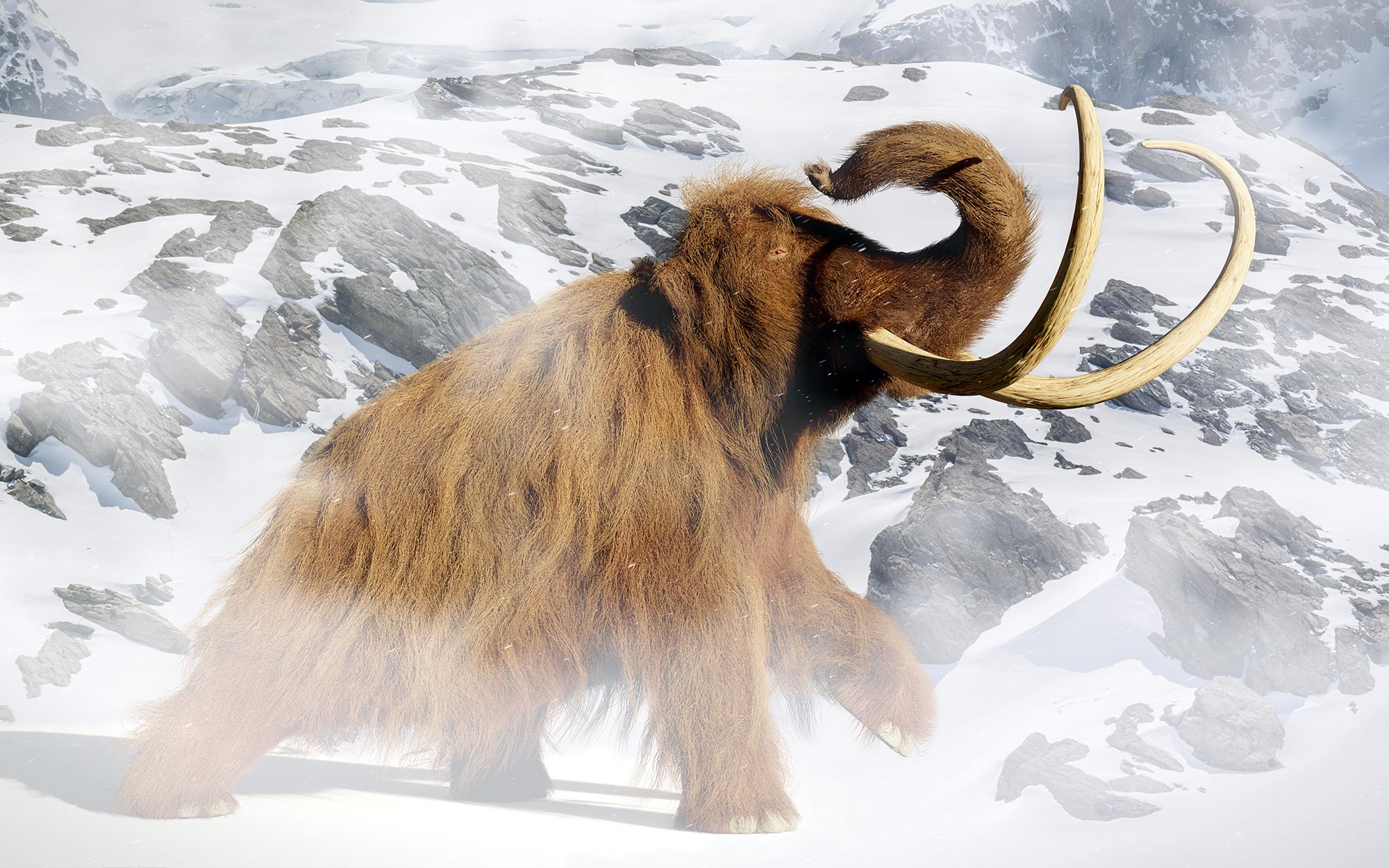 Woolly Mammoth Extinct Animals