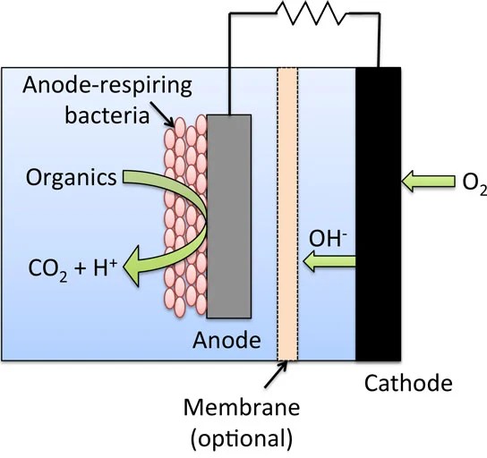 Converting Waste into Useful Energy by Improving Microbial Fuel Cells