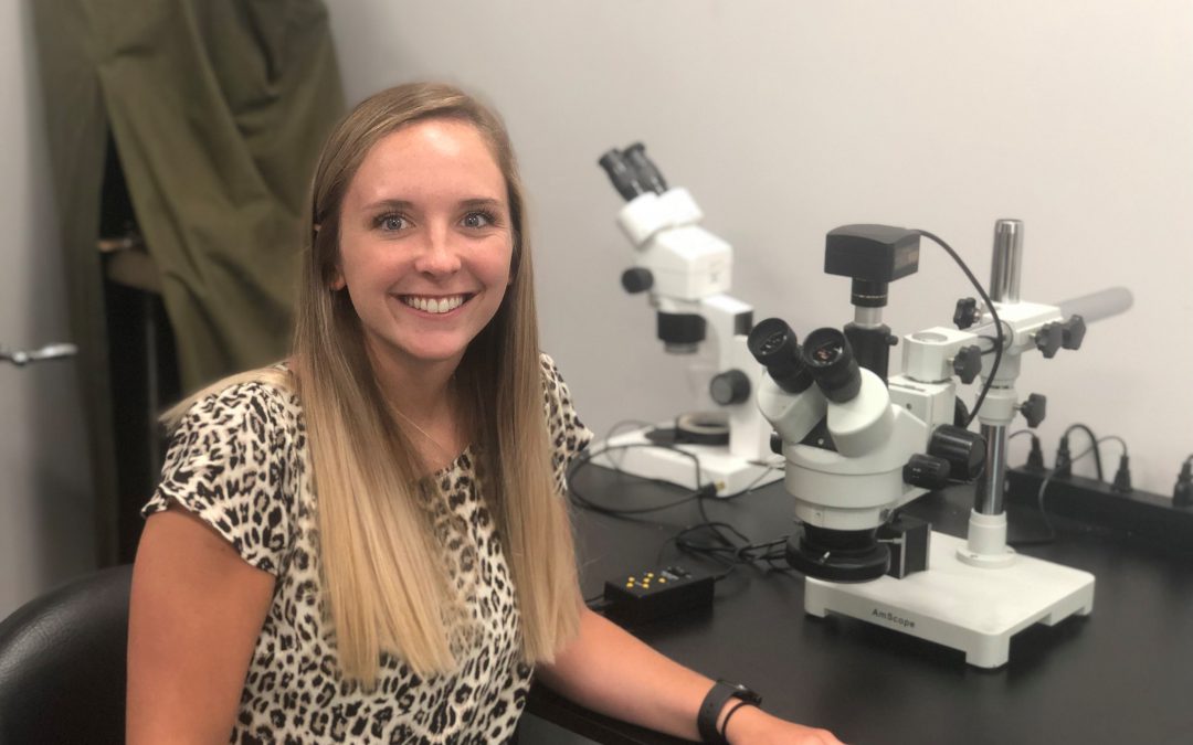 Internship Spotlight Beachfront Design SciTech