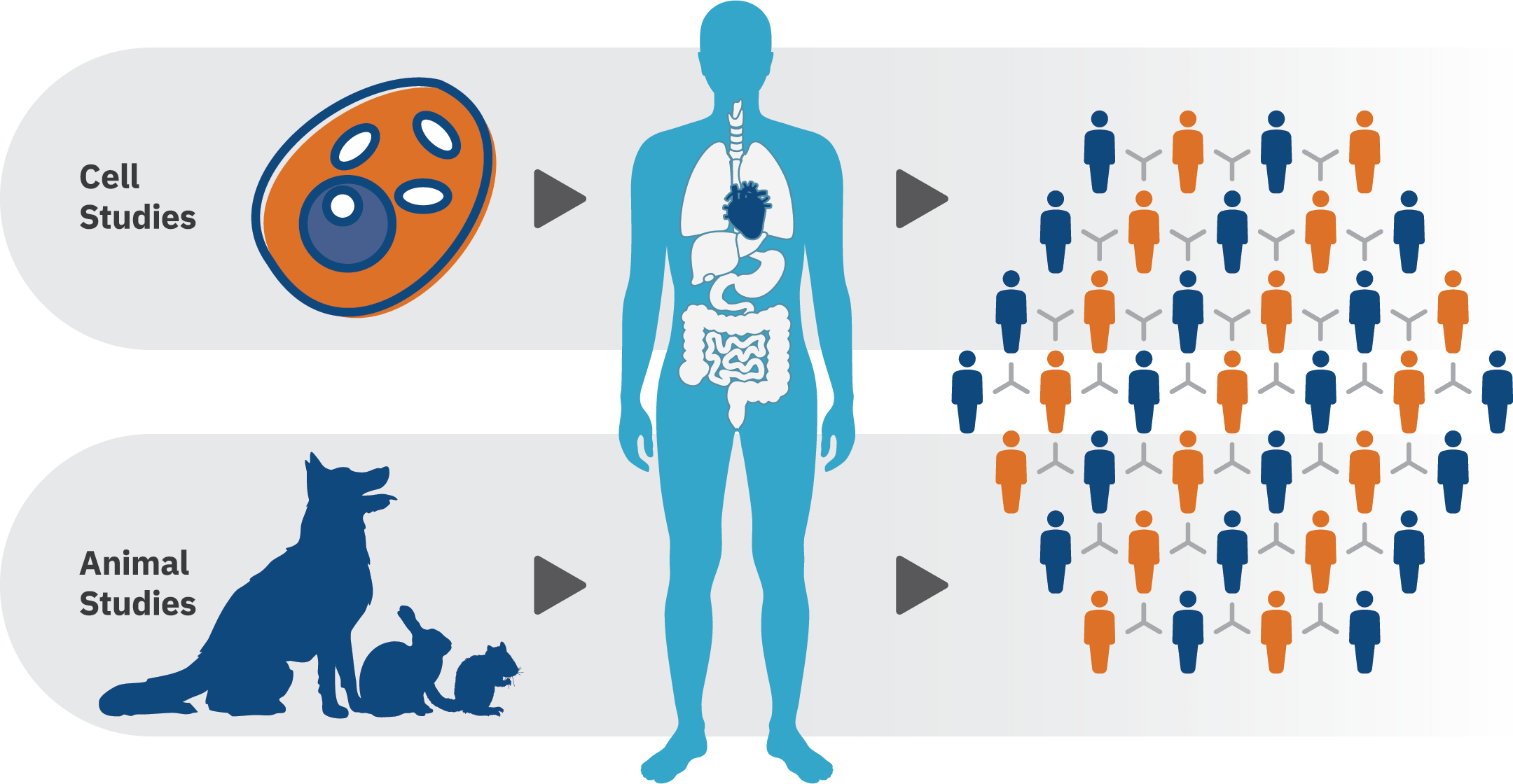Predicting Equivalent Dose in Humans ScitoVation