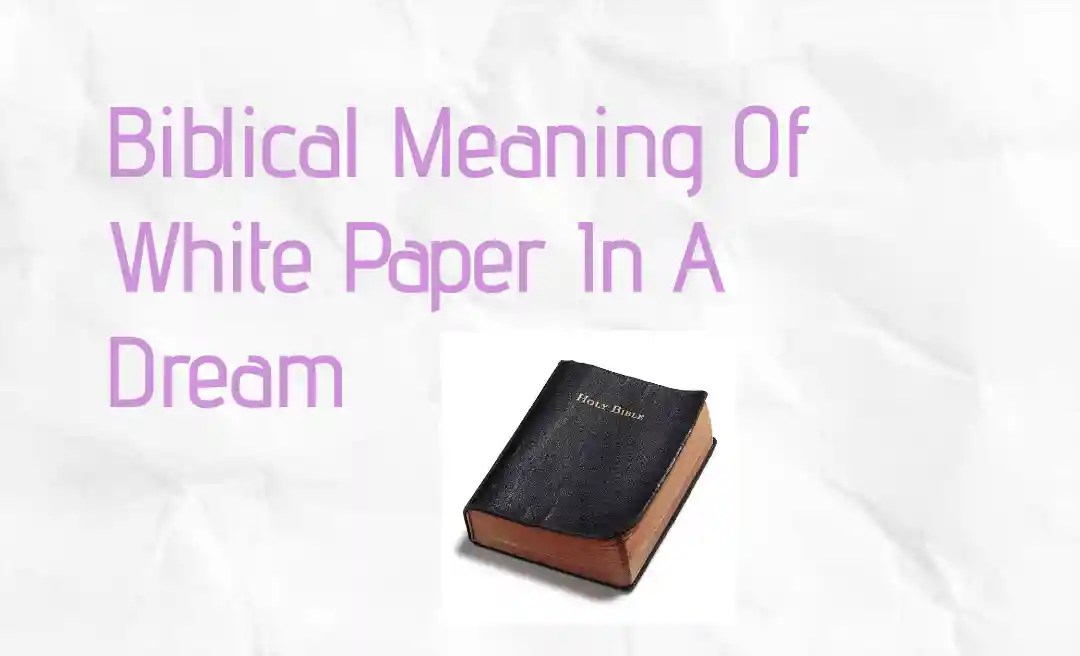 Biblical Meaning Of White Paper In A Dream Scity