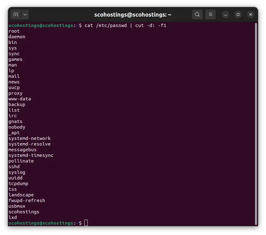 How to List All Users in Linux