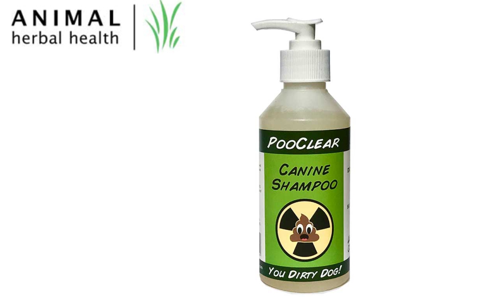 Top 5 Dog Shampoo for Dry Skin in 2023 5 Best Shampoo For Pets