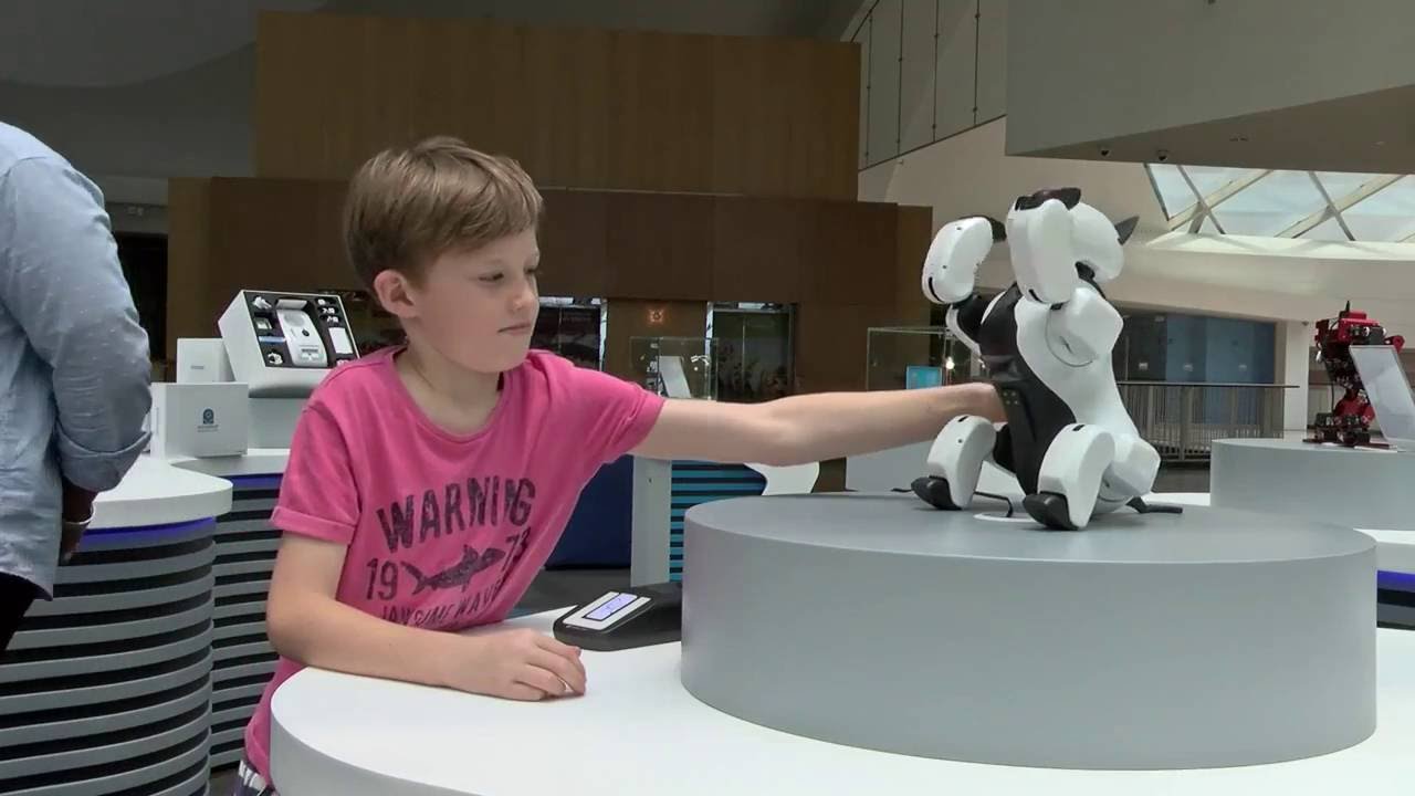 Dubai Gets Its Very First Robotics Store Scoop Empire