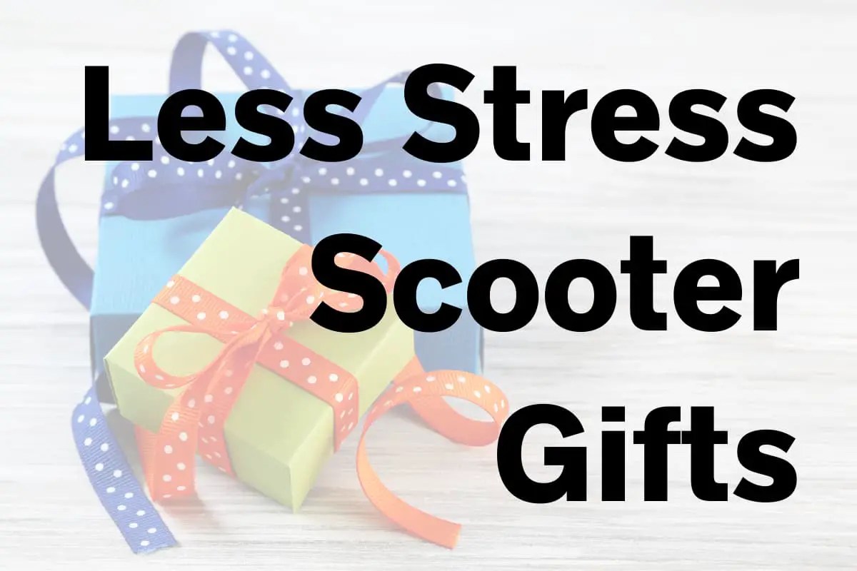 Gift Ideas For Scooter Riders What We Really Want
