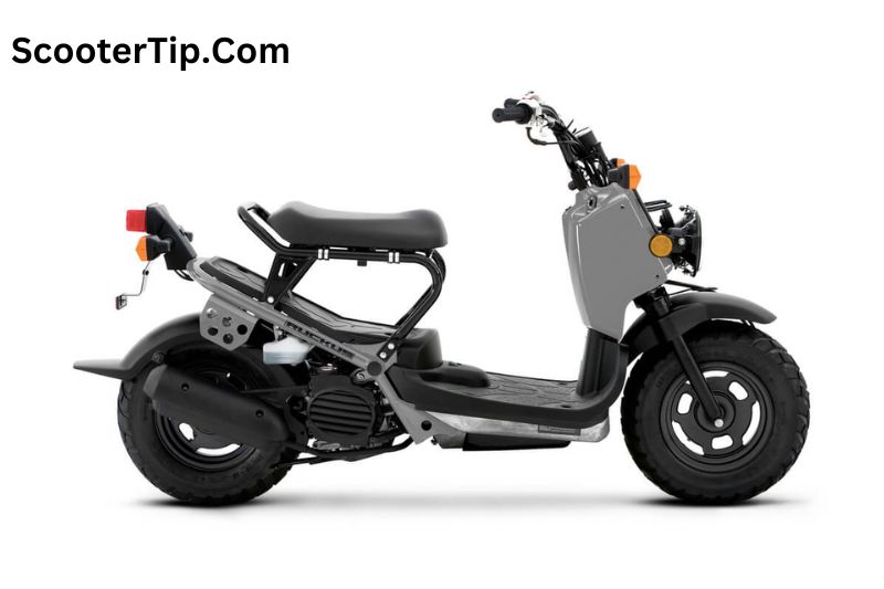 What Is The Honda Ruckus Weight Limit? (Answered!) » Scooter Tip